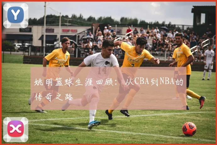 姚明篮球生涯回顾:从CBA到NBA的传奇之路