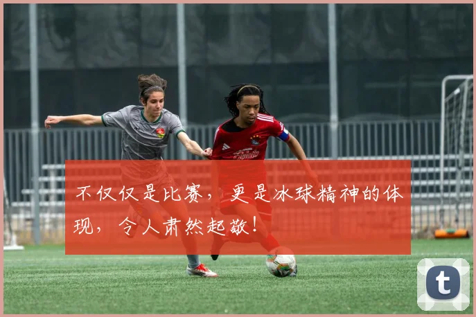 不仅仅是比赛,更是冰球精神的体现,令人肃然起敬!