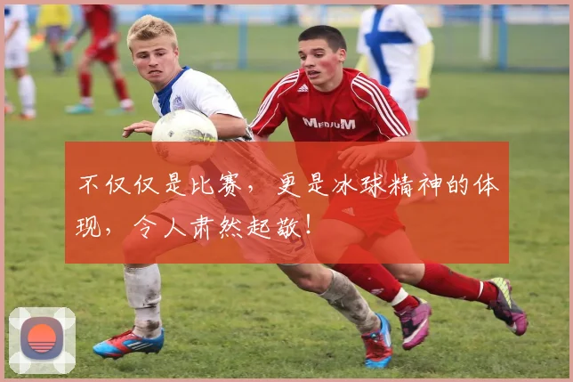 不仅仅是比赛，更是冰球精神的体现，令人肃然起敬！